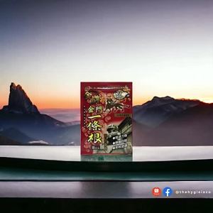 Taiwan Dragon Golden Jin Men Yi Tiao Gen Pain Relief PATCHES (8pcs XL) SGS