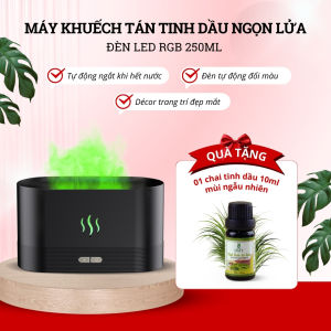 [HCM - Hỏa Tốc] Máy Khuếch Tán Máy Xông Tinh Dầu Ngọn Lửa DMT Tạo Ẩm Xông Phòng - 150ml