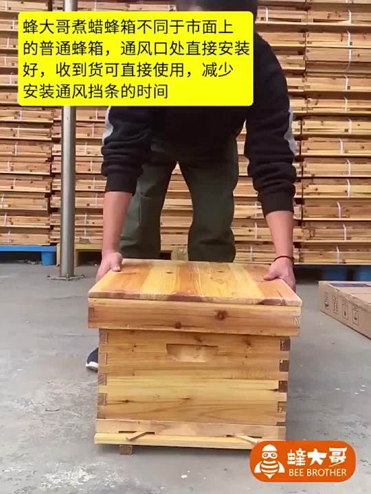 Spot parcel post Factory Direct Sales Apis Cerana Bee Hive Full Set of ...