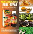 madu SEHAT LAMBUNG ASYIFA 280 GR - madu asam lambung - madu maag - madu SEHAT LAMBUNG ASYIFA 280 GR - madu asam lambung - madu maag. 