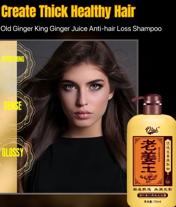 Ginger Anti Hair Loss Shampoo Hair Growth Liquid Old Ginger King Ginger