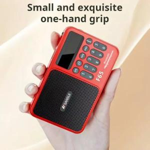 SANSUI F65 Portable Wireless Bluetooth Speakers FM Radio Outdoor HI-FI Subwoofer Supports Headphone Output USB Drive TF Card AUX