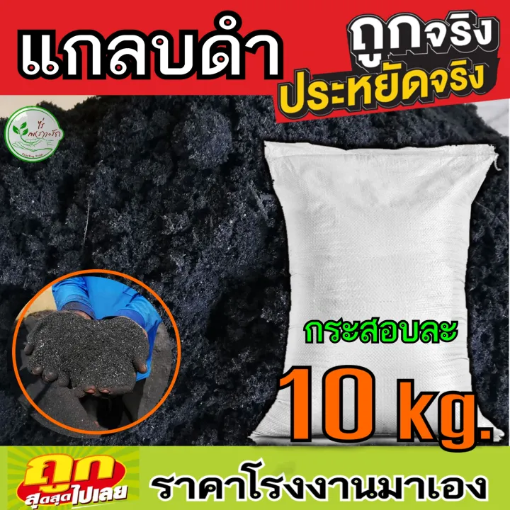 แกลบดำเผาผสมไตรโคเดอร์ม่า 10 กก. ป้องกันเชื้อรา