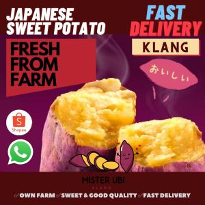 [NEXT DAY DELIVERY] 5kg Japanese Sweet Potato l Ubi Keledek Madu 🍠 日本番薯红薯 Japanese Indonesia Sweet Potato KLANG HARVESTDAILY