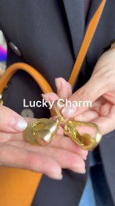 Pure Copper 12 Animal Zodiac Keychain Fengshui Coins Wealth Gift