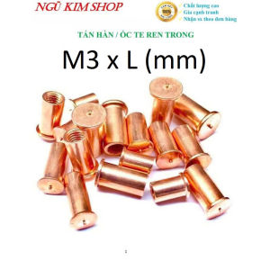TÁN HÀN _ ECU HÀN _ ỐC TE REN TRONG M3 x L