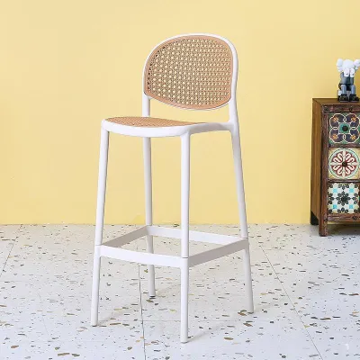 Turtle Nordic Bar Stool Home Modern Simple High Stool with Backrest Bar Chair Internet Celebrity
