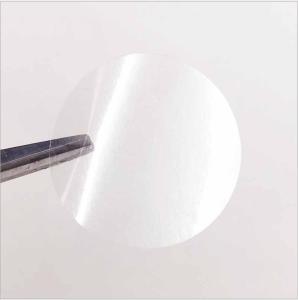 PACWRAP Crystal Clear Round Transparent Adhesive Stickers Label PVC Pelekat Bulat Jenih 透明圆形封口贴 15mm20mm25mm30mm35mm40mm50mm