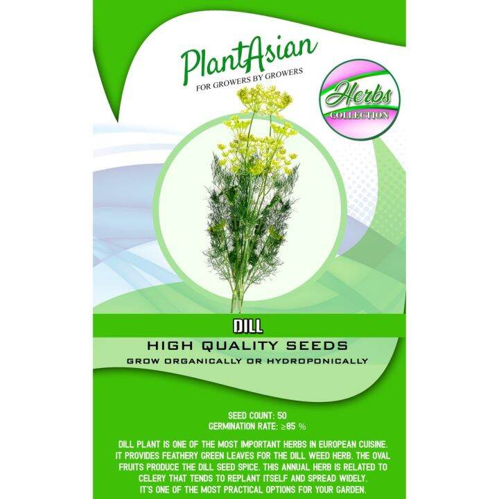 Dill Plant Seeds 50 Pcs Lazada Ph 