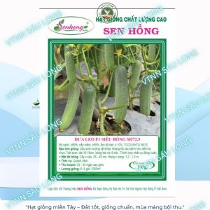 Dưa Leo SH 72.5 ( chịu nhiệt) trái dài 16-18cm màu xanh nhạt chịu nhiệt gói 10g ( khoảng 380 đến 400 hạt)