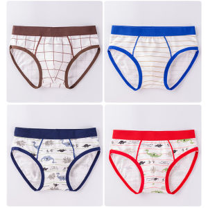 KUCHAR 4 ชิ้น การ์ตูนไดโนเสาร์ กางเกงในวัยรุ่น ชุดชั้นในสำหรับเด็กอายุ 2-12 ปี กางเกงผ้าฝ้าย กางเกงบ็อกเซอร์ กางเกงชั้นในเด็ก