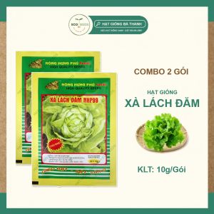 [EcoSeeds] Combo 2 Gói Hạt Giống Xà Lách Đăm (Xà Lách Búp Xà Lách Cuộn) - Chịu Nhiệt Kháng Bệnh Tốt - Gói 10g