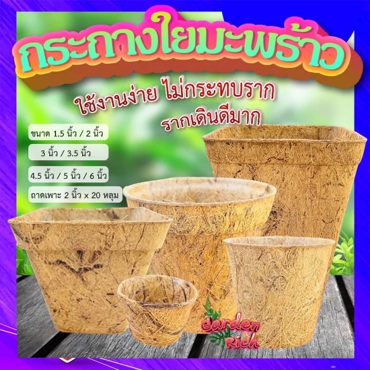 10 อันดับกระถางใยมะพร้าว ยี่ห้อไหนดี? ปลูกต้นไม้รักษ์โลกง่ายๆ อัปเดตปี 2025