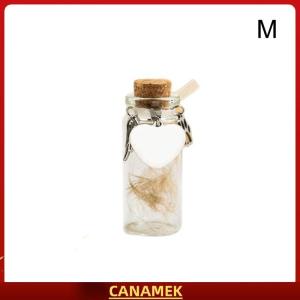 Miễn phí vận chuyển✨ Pet memorial chai cho pet chó lông mèo lông lưu niệm chai lưu trữ với 3 bạc phụ kiện Pet memorial urn container