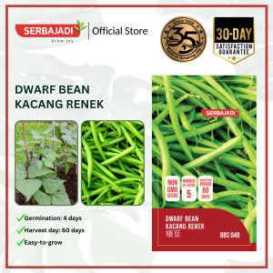 Serbajadi Vegetable Seed Dwarf Bean | Bean Seed | Creeping Planting | Biji Benih Kacang Renek | 矮豆种子 | 1g