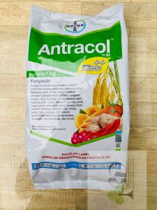 fungisida ANTRACOL dari Bayer