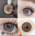 16mm DUBAI brown SOFT LENS CONTACT LENS C649-1 (0 Degree). 