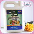 Phân Bón Lá ĐẠM CÁ 5 Lít Giúp Cây Ra Rễ Cực Mạnh, Đâm Chồi, Đẻ Nhánh, Lớn Trái, Bóng Trái, Đẹp Trái. 