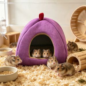 GTRBFDS Dây Cotton Nhà nuôi chuột lang Thoáng khí Vòng treo Giường cho thú cưng nhỏ Ấm cúng Bề có thể trầy xước Lồng nuôi chuột chinchilla Thú cưng nhỏ