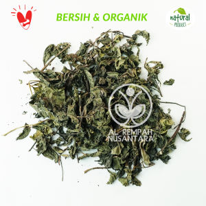 Daun Beluntas Kering Organik 1 kg Asli Hutan