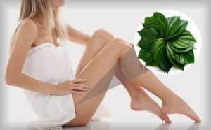 50gr Lá trầu không khô (trầu quế quý h.iếm 100%) rất thơm nhiều tinh dầu