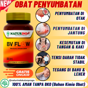 Obat Herbal Penyumbatan Pembuluh Darah di Jantung Tuba Falopi Saraf Otak Tangan Kaki Paling Ampuh
