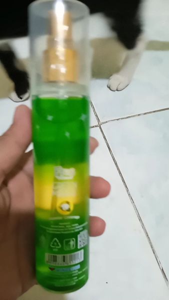 Buyer review video 2