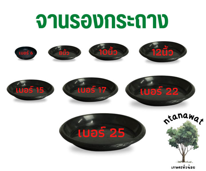7 อันดับจานรองกระถางต้นไม้และชุดกระถางพร้อมจานรองที่ดีที่สุด 2025