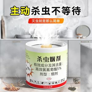 Insecticide Fumigant (6 pcs)  Insecticide Smoke Agent Kill Cockroach Mosquito Flies Insects Lizard Lipas