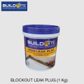 Buildrite Blockout Leak Plug (1 Kg) Rapid Setting Mortar for Plugging Leak on Running Water. 