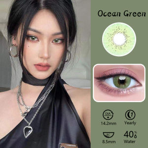 Mrs.H Norko Series Big Eyes Brown Grey Blue Colored Contact Lens Yearly Use 14.5mm no power 美瞳 Free Lens Case 2psc