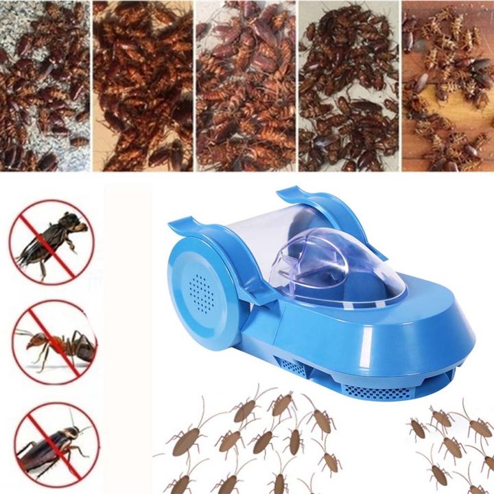 WARMIE Reusable Safe Efficient roach Insect Lizard Killing Bait ...