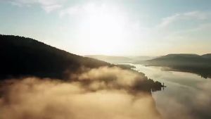 COUCOU Pouch Cat Pouch Makanan Kucing 85g Cat Wet Food 猫食物湿粮 85g*12