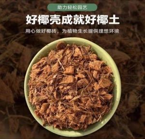 【5L Coco Chip】 椰壳让土壤变得保水和滲透 Coconut Shells Make The Soil Water-Retaining and Permeable