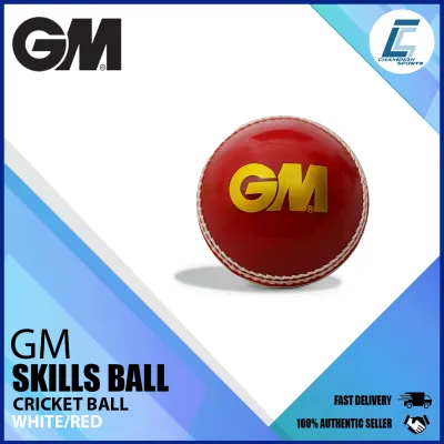 GM Skills Cricket Ball (SS2)