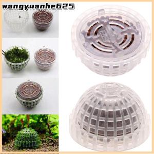 [WYH Store] 👗 Aquatic Pet Supplies Decorations Aquarium Moss Ball Live Plants Filter Pet Decor