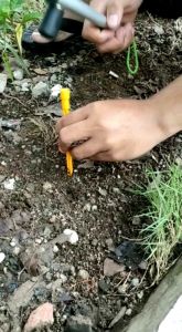 Paket Set Tali Prusik 4mm Include Guyline Glow in the dark dan Pasak Plastik Hard ABS UL isi 4 set - Free Pouch