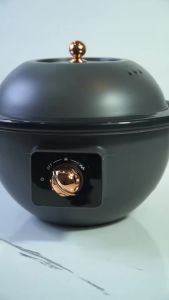Dreepor 2.5L Electric Cooker Ufo Shape Multifunctional Rice Cooker With Steamer Non-Stick Hot Pot