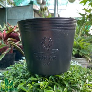 Bộ 5 cái Chậu nhựa Mềm trông cây 20x25cm