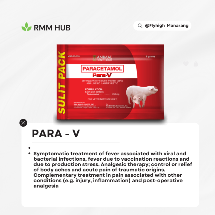 PARAV 1 SACHET RMM HUB BMEG Lazada PH
