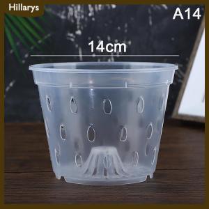 [Hillarys] 1 cái chậu hoa chậu trồng cây trong vườn chậu thoát nước có lỗ trong suốt giỏ hoa phong lan nhựa thoáng khí phụ kiện chậu hoa