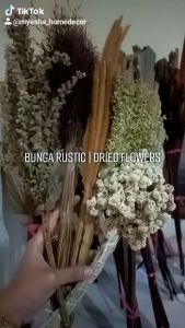 Foeniculum vulgare | bunga adas wangi kering | pikok bunga kering | dried flower rustic