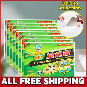 【Free Shipping】50/100 Pcs Fly Catcher Glue Board Fly Trap Board Traps Fruit Flies Kitchen Flies Pest Control Fly Glue board Fly Sticker Insect Trap Board Flies Langaw Adhesive Paper Insect Control Traps