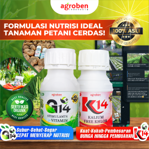 K14 AGROBEN 250 ML /g14 dan k14/pupuk organik cair/obat perangsang buah/pupuk perangsang buah/obat pertanian/pembesar umbi k14/obat pembesar buah/pupuk bunga dan tanaman/pupuk buah super lebat//pupuk kalium cair paket 4 botol