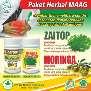 Obat Magh Kronis Herbal & Membersihkan Usus: Zaitop Moringa