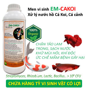 Chế phẩm vi sinh xử lý nước hồ cá Koi cá cảnh - Làm sạch nhớt đáy trong nguồn nước - Ức chế tảo lam - Khử mùi hôi khí độc