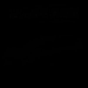 Aion v ev Rear Wheel Inner Liners Fender Splash Guards Mud Flap Protector Kit Car Accessories