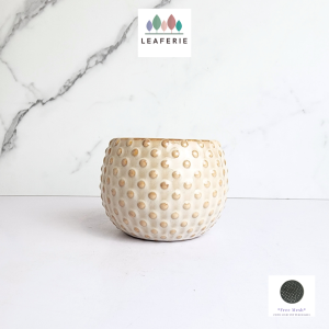 The Leaferie Cedro plant pots. Ceramic flowerpot . flowerpots . flower pot . planter . planters
