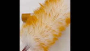 ไม้ปัดฝุ่น รอยกระบอก [แถมกระบอก] ไม้ปัดฝูนขนแกะแท้ 100% Wool Duster รอยกระบอก ขนหนานุ่มฟูยาว