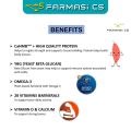 Abbott Ensure Gold Vanilla 800g / FOC Exercise Kit / 1 Sachet. 